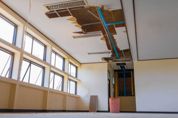 Best Flood damage cleanup  in Louisville, KY