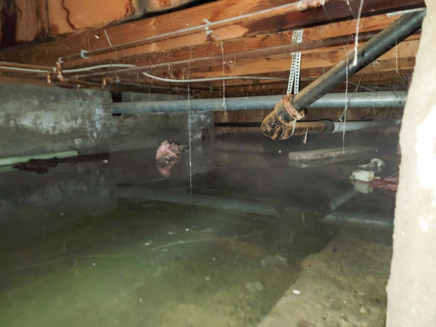 Best Flooded house restoration  in Louisville, KY