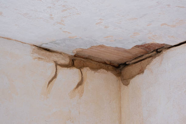 Best Water damage restoration near me  in Louisville, KY