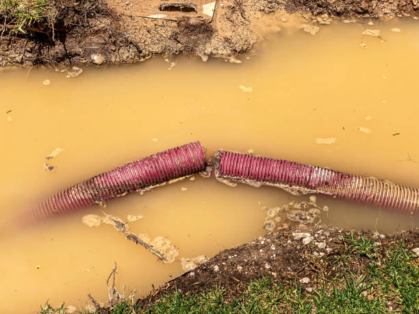  Louisville, KY Water damage restoration Pros